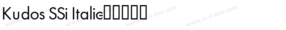 Kudos SSi Italic字体转换